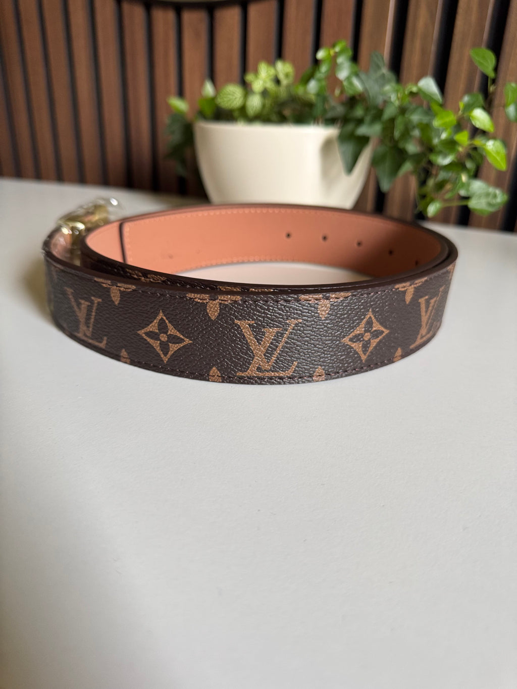 Lv Belt Modell (10)
